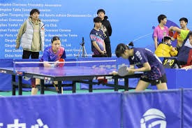 国羽双打组合表现稳定